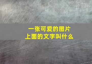 一张可爱的图片上面的文字叫什么