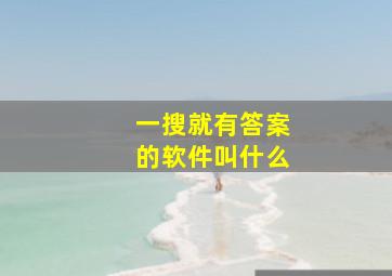 一搜就有答案的软件叫什么