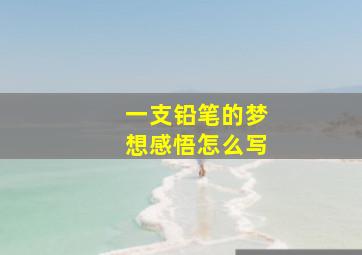 一支铅笔的梦想感悟怎么写