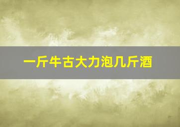 一斤牛古大力泡几斤酒