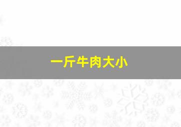 一斤牛肉大小