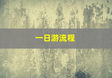 一日游流程