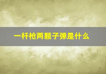 一杆枪两颗子弹是什么