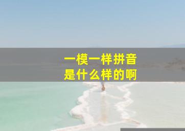 一模一样拼音是什么样的啊