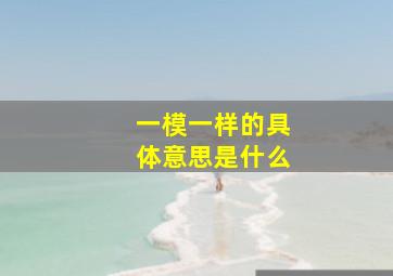 一模一样的具体意思是什么