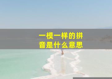 一模一样的拼音是什么意思