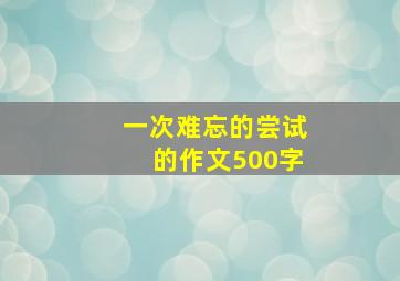 一次难忘的尝试的作文500字