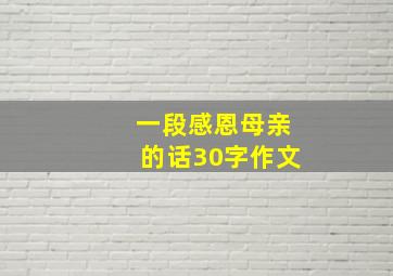 一段感恩母亲的话30字作文