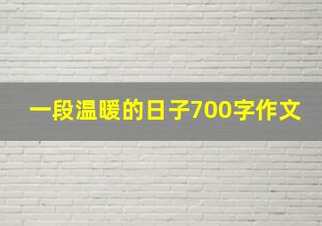 一段温暖的日子700字作文