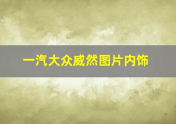 一汽大众威然图片内饰