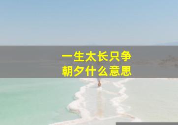 一生太长只争朝夕什么意思