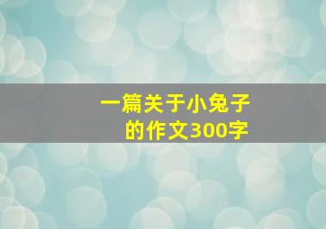 一篇关于小兔子的作文300字