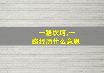 一路坎坷,一路经历什么意思