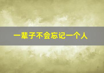 一辈子不会忘记一个人