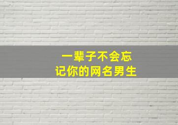 一辈子不会忘记你的网名男生