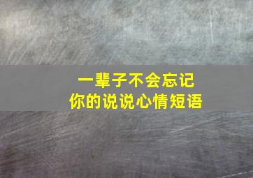 一辈子不会忘记你的说说心情短语