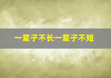 一辈子不长一辈子不短