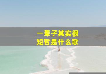 一辈子其实很短暂是什么歌