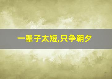 一辈子太短,只争朝夕