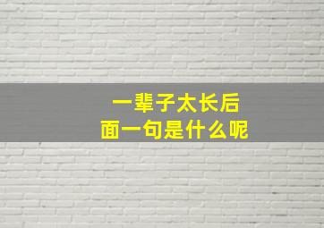 一辈子太长后面一句是什么呢