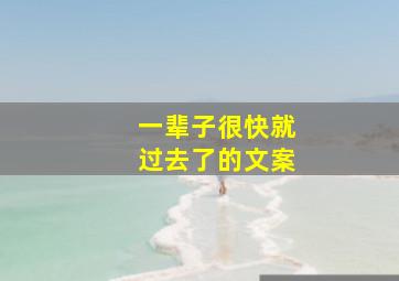 一辈子很快就过去了的文案