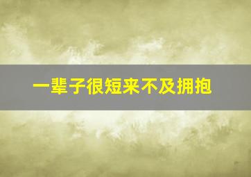 一辈子很短来不及拥抱