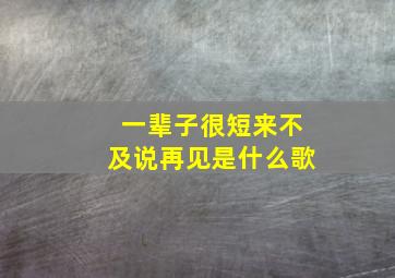 一辈子很短来不及说再见是什么歌