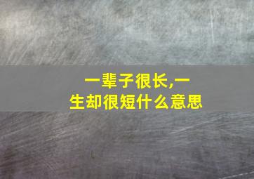 一辈子很长,一生却很短什么意思