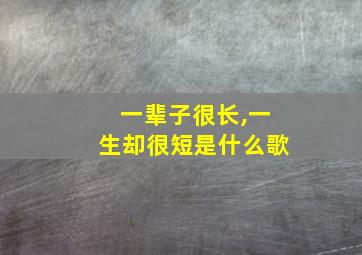 一辈子很长,一生却很短是什么歌