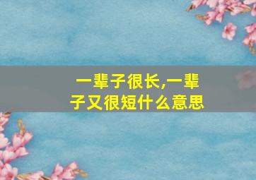 一辈子很长,一辈子又很短什么意思