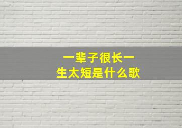 一辈子很长一生太短是什么歌