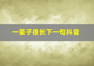 一辈子很长下一句抖音