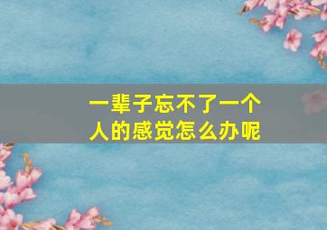 一辈子忘不了一个人的感觉怎么办呢