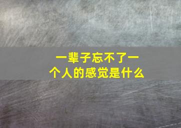 一辈子忘不了一个人的感觉是什么