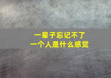 一辈子忘记不了一个人是什么感觉