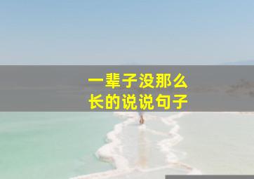 一辈子没那么长的说说句子