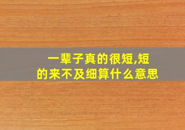 一辈子真的很短,短的来不及细算什么意思