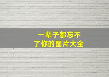 一辈子都忘不了你的图片大全