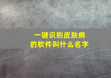 一键识别皮肤病的软件叫什么名字