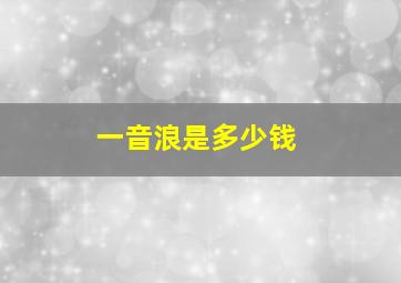 一音浪是多少钱