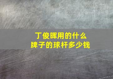 丁俊晖用的什么牌子的球杆多少钱