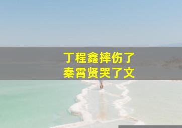 丁程鑫摔伤了秦霄贤哭了文