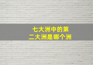 七大洲中的第二大洲是哪个洲