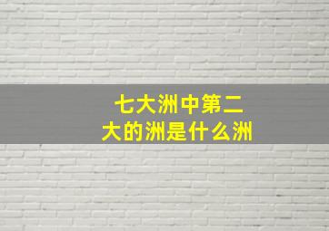 七大洲中第二大的洲是什么洲