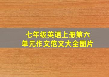 七年级英语上册第六单元作文范文大全图片