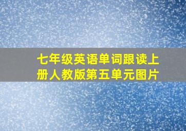 七年级英语单词跟读上册人教版第五单元图片