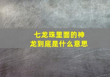 七龙珠里面的神龙到底是什么意思