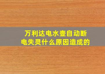 万利达电水壶自动断电失灵什么原因造成的