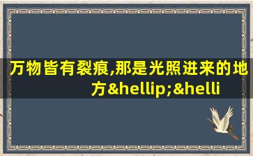 万物皆有裂痕,那是光照进来的地方……