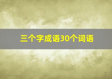 三个字成语30个词语